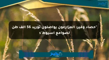“حصاد وفير: المزارعون يواصلون توريد 56 ألف طن لصوامع أسيوط’s